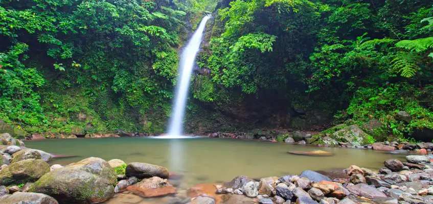 Albay Tourist 