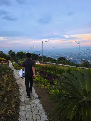 albaytourist