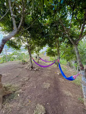solong-eco-park