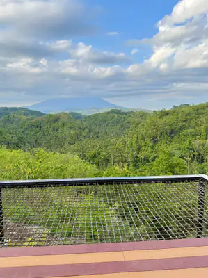 solong-eco-park